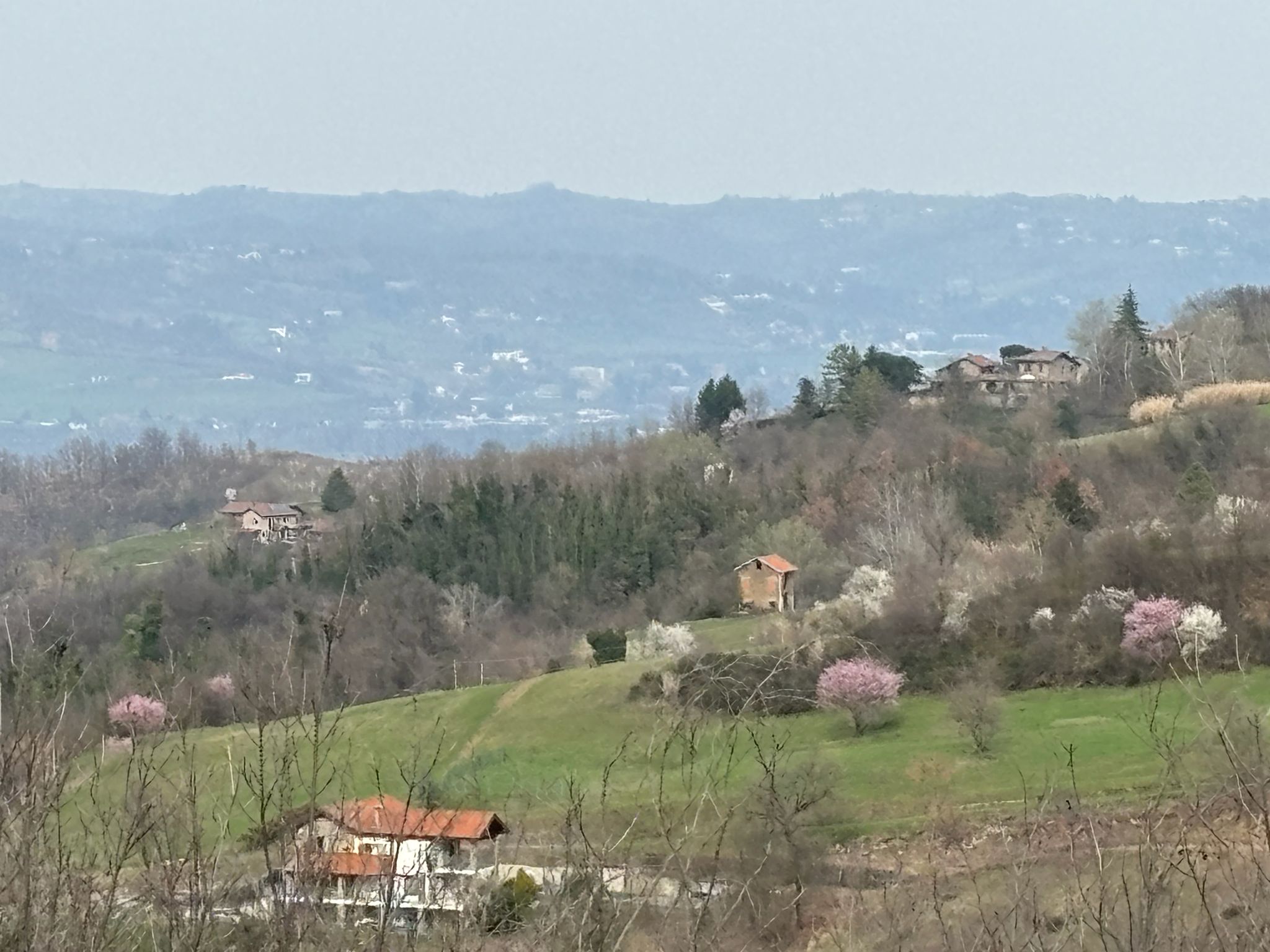 Vista panoramica sulle colline di Castelleto d'Erro